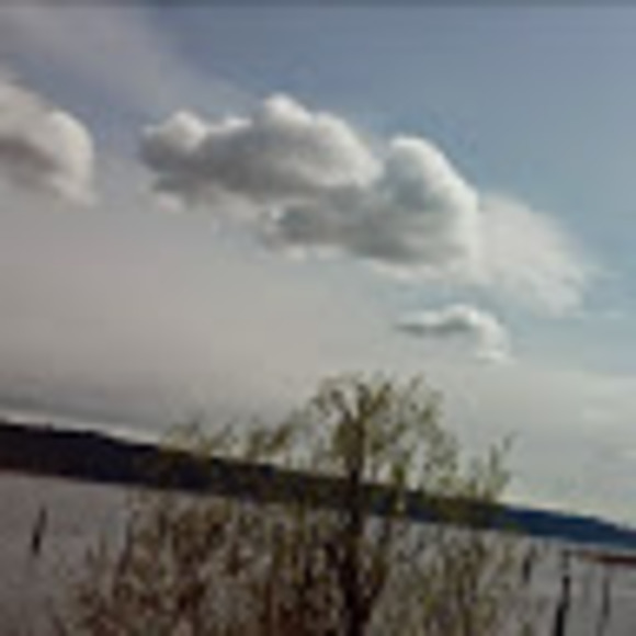 Meet your Posher, Kelli - Picture 1 of 1